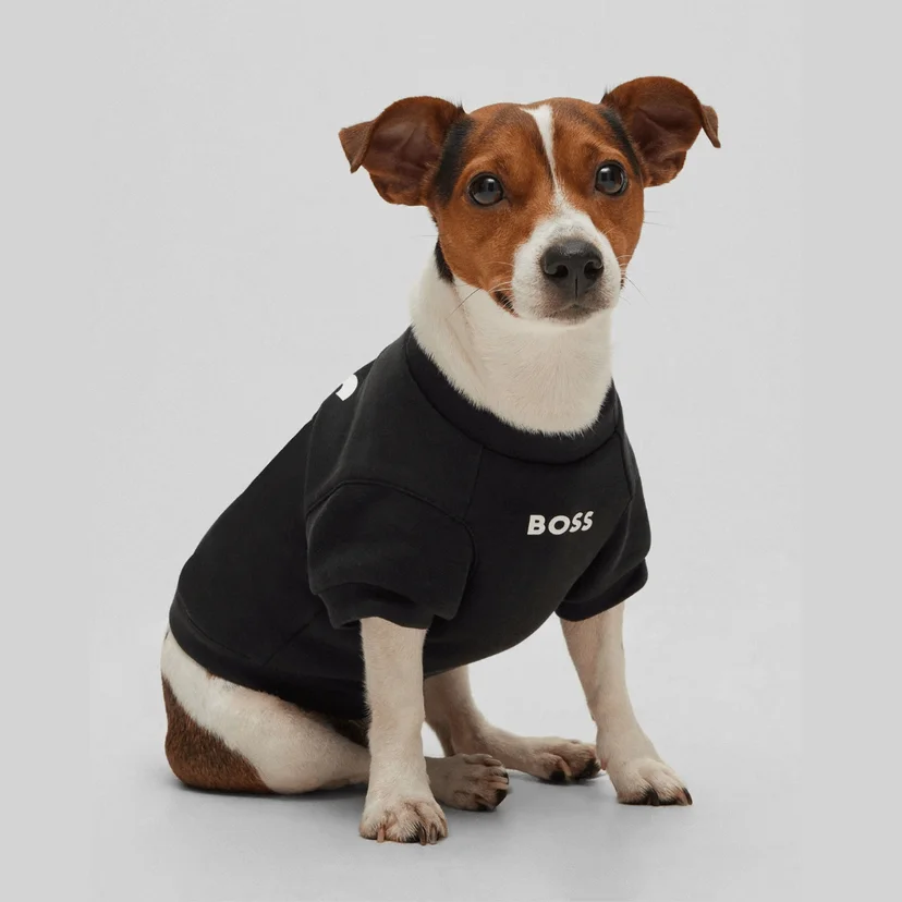 Animale Collection images