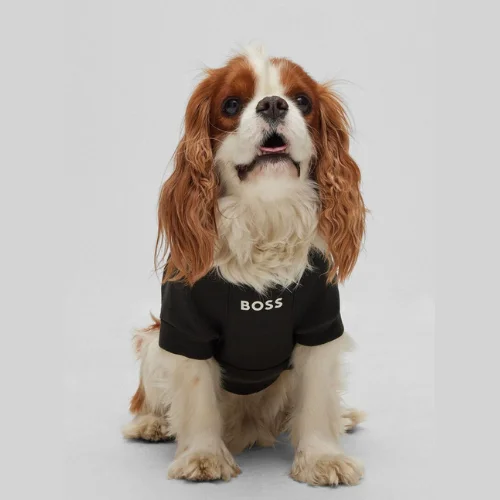 Animale Collection images